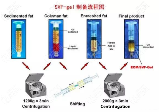 脂肪膠的制備過程