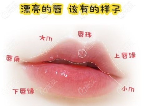 漂亮的唇部很加分哦