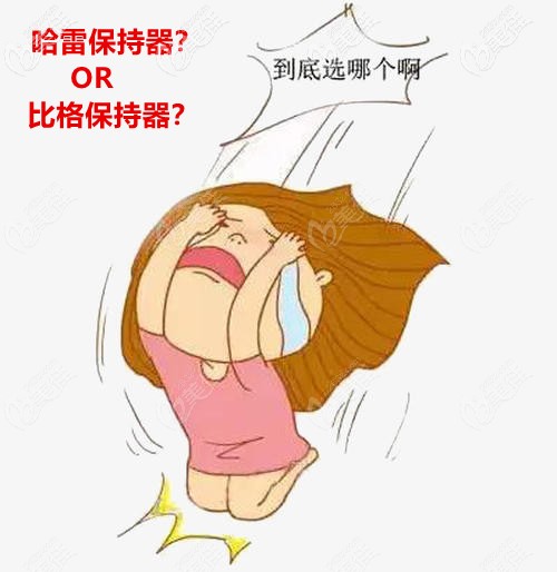 哈雷保持器的價格