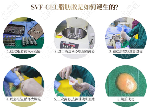 脂肪膠的制備過程