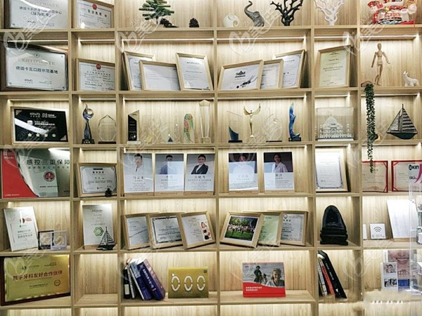 門診和醫(yī)生所獲的各種證書擺放區(qū) 門診和醫(yī)生所獲的各種證書擺放區(qū)