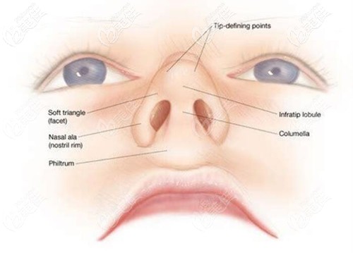 唇裂鼻子塌陷可以修復(fù)嗎 唇裂鼻子塌陷可以修復(fù)嗎
