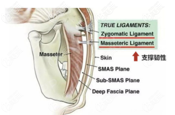 柳民熙醫(yī)生面部提升技術(shù) 柳民熙醫(yī)生面部提升技術(shù)