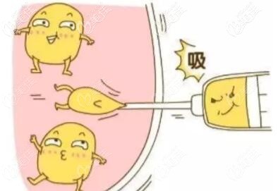 大連做吸脂好的醫(yī)院選達(dá)美元辰