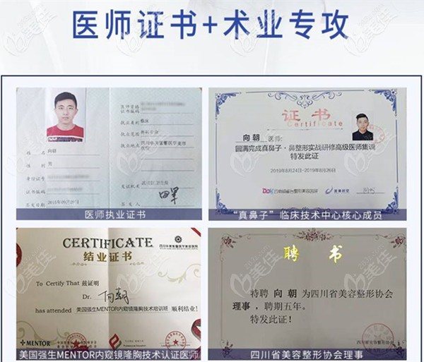 向朝醫(yī)生部分證書以及榮譽(yù)