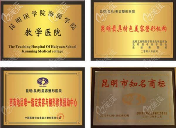 云南吳氏嘉美獲得的榮譽(yù)