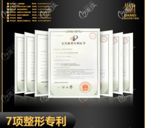 達(dá)美如藝谷廷敏專有技術(shù)證書 達(dá)美如藝谷廷敏專有技術(shù)證書