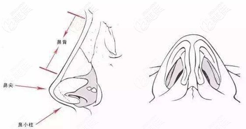寧夏華美何元飛醫(yī)生隆鼻 寧夏華美何元飛醫(yī)生隆鼻