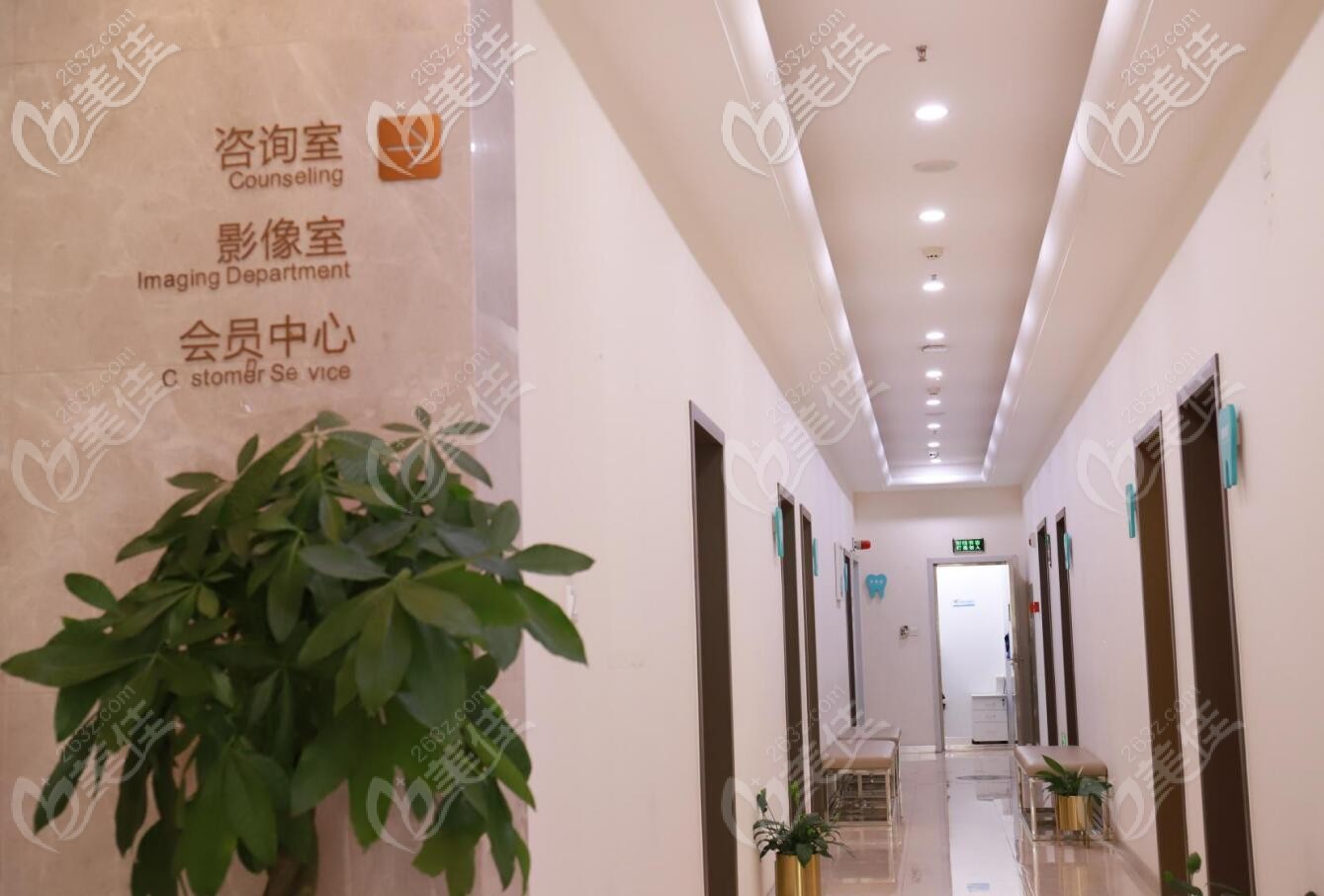 團圓口腔走廊環(huán)境 團圓口腔走廊環(huán)境