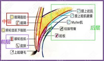 李院長7層超精縫合法
