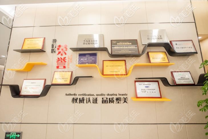 醫(yī)院獲得部分榮譽(yù)