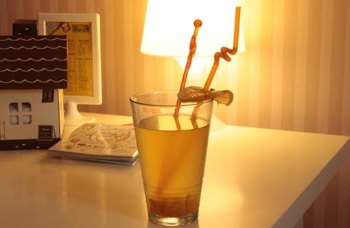 吃這些食物也能除皺？