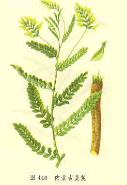 <!--<i data=20240710-sp></i>-->養(yǎng)生除皺必備 較經(jīng)典的抗衰老抗皺中藥