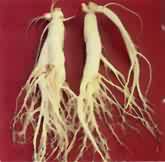 <!--<i data=20240710-sp></i>-->養(yǎng)生除皺必備 較經(jīng)典的抗衰老抗皺中藥