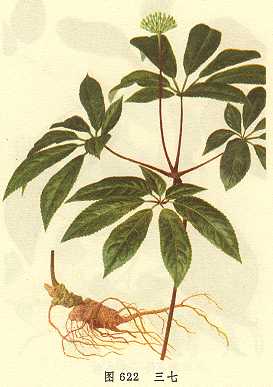 <!--<i data=20240710-sp></i>-->養(yǎng)生除皺必備 較經(jīng)典的抗衰老抗皺中藥