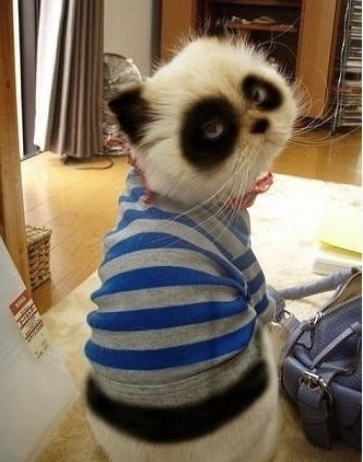 熬夜對(duì)皮膚的壞處 <!--<i data=20240710-sp></i>-->如何調(diào)理