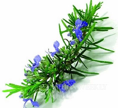 <!--<i data=20240710-sp></i>-->教你按摩去浮腫 告別腫泡眼大餅臉