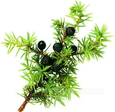 <!--<i data=20240710-sp></i>-->教你按摩去浮腫 告別腫泡眼大餅臉