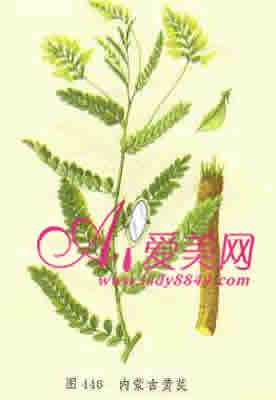 超實(shí)用單方中藥美容DIY