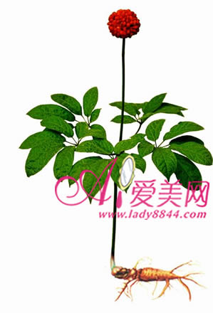 超實(shí)用單方中藥美容DIY