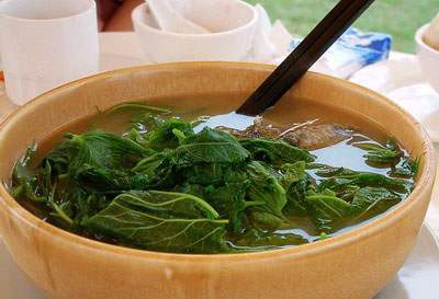 祛痘淡斑 桑葉的神奇效果