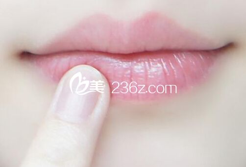 馬自達(dá)唇珠 馬自達(dá)唇珠